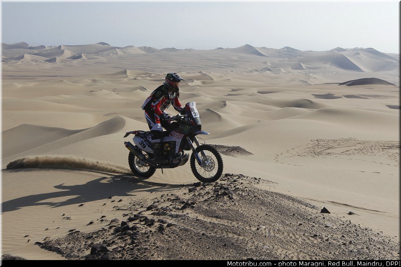 fish_0031_dakar_2013