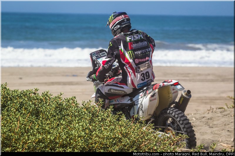 fish_0032_dakar_2013
