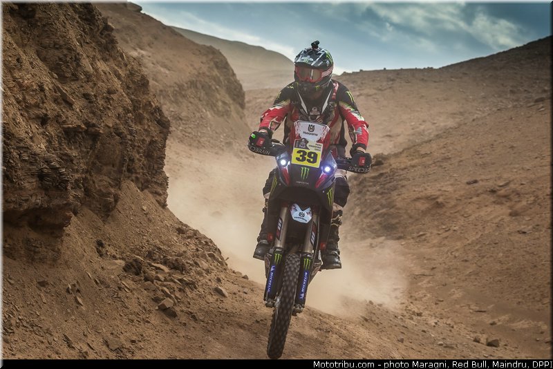 fish_0039_dakar_2013