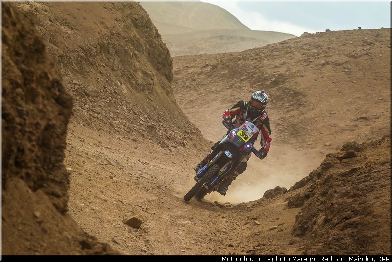 fish_0040_dakar_2013