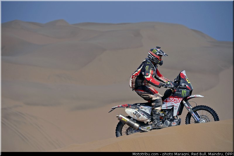 fish_0041_dakar_2013