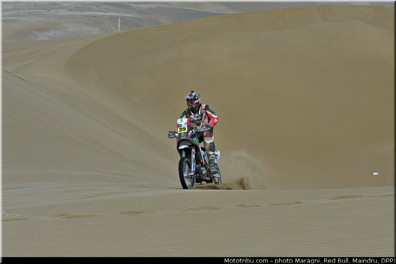 fish_0043_dakar_2013
