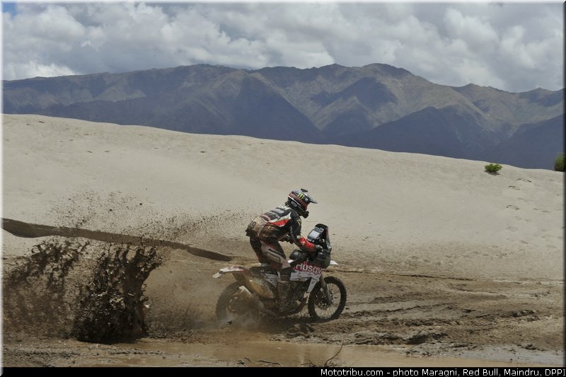 fish_0045_dakar_2013