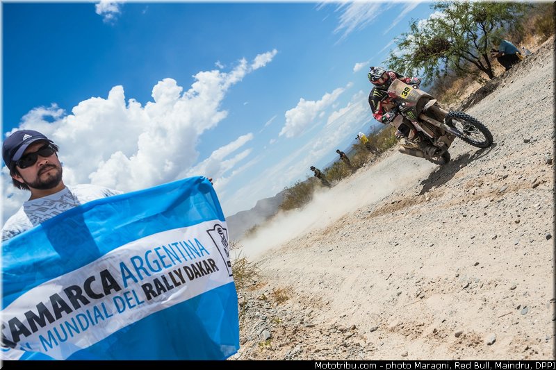 fish_0046_dakar_2013