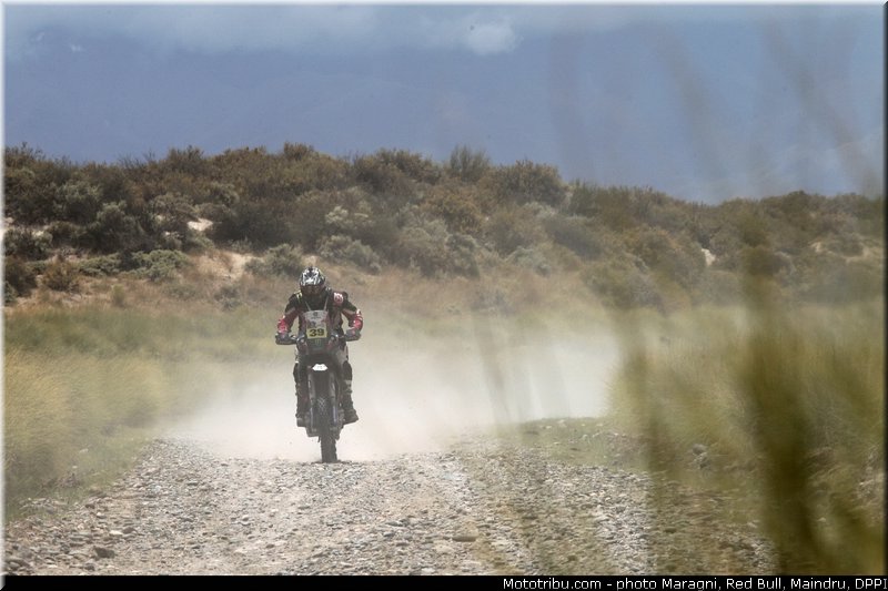 fish_0047_dakar_2013