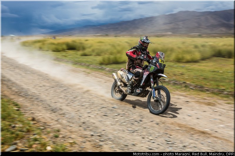 fish_0048_dakar_2013