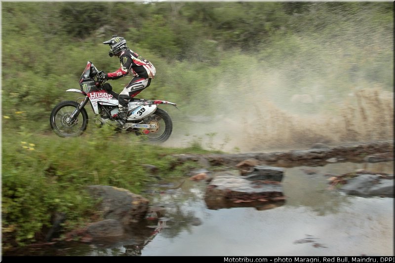 fish_0050_dakar_2013