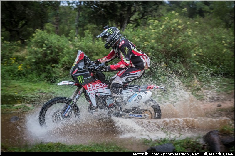 fish_0051_dakar_2013