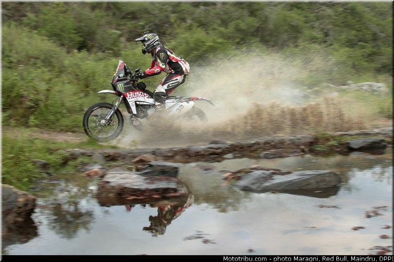 fish_0052_dakar_2013