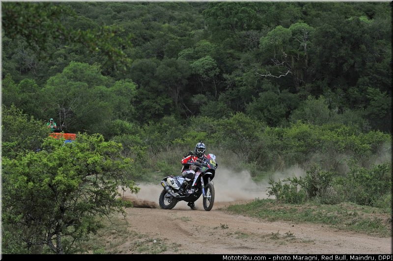 fish_0053_dakar_2013