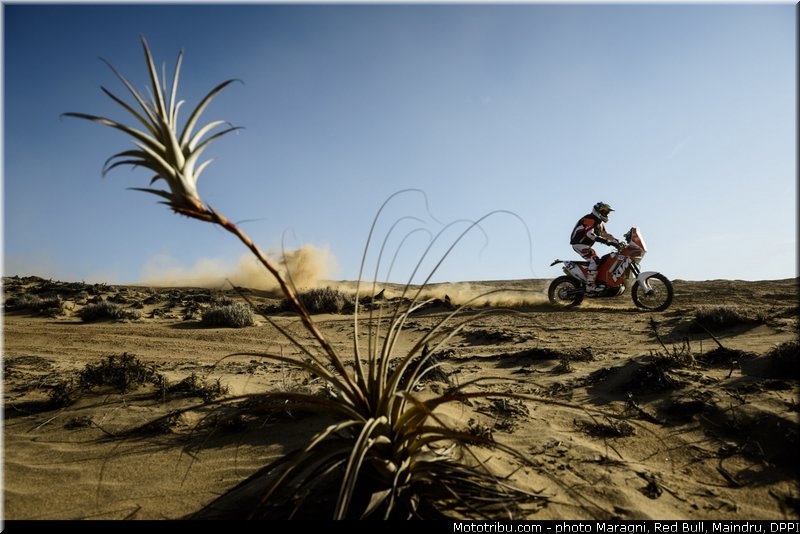 graham_0006_dakar_2013