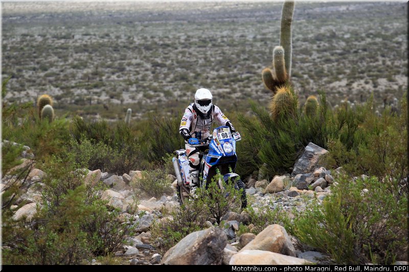 lucchese_0001_dakar_2013