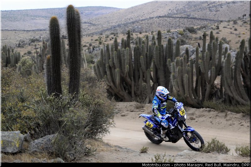 metge_0003_dakar_2013