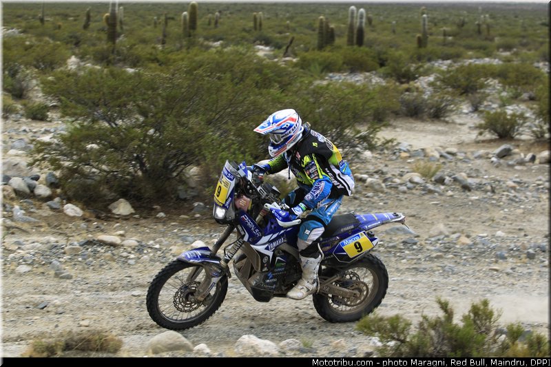 pain_0005_dakar_2013