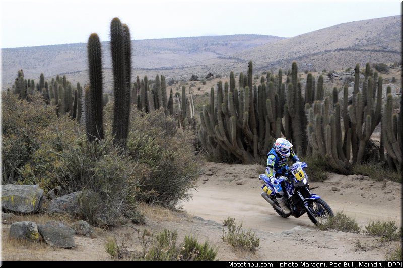 pain_0017_dakar_2013