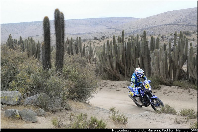 pain_0047_dakar_2013