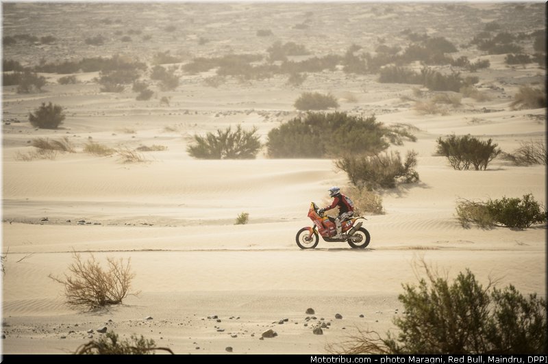 pascual_0002_dakar_2013