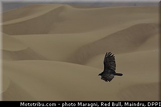 0035_dakar_2013.jpg
