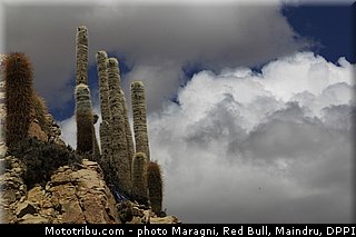 0043_dakar_2013.jpg