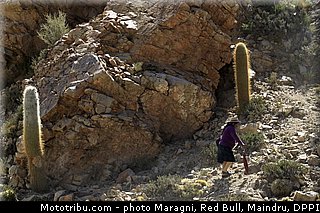 0047_dakar_2013.jpg