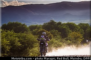 botturi_0017_dakar_2013.jpg