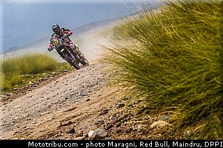 botturi_0072_dakar_2013.jpg