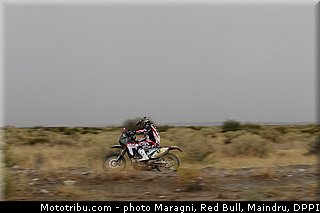 botturi_0076_dakar_2013.jpg
