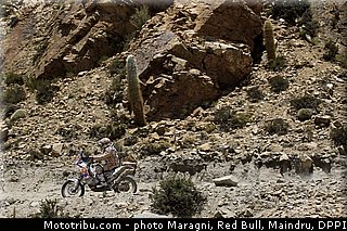 carevic_0001_dakar_2013.jpg