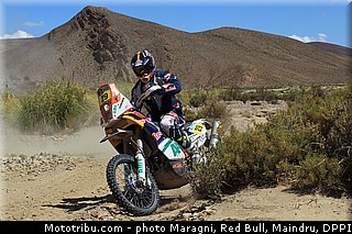 caselli_0003_dakar_2013.jpg