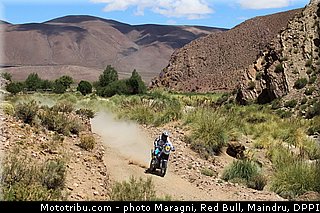 casteu_0025_dakar_2013.jpg