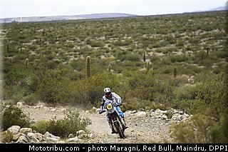 casteu_0027_dakar_2013.jpg