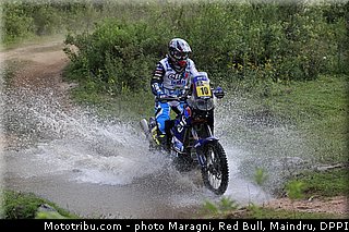 casteu_0029_dakar_2013.jpg