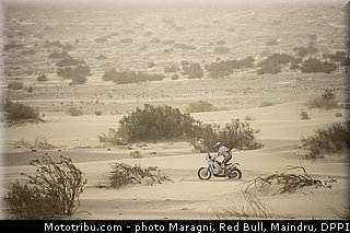 dabrowski_0003_dakar_2013.jpg