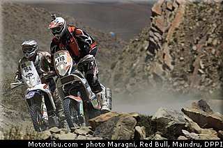 despontin_hirigoyen_0001_dakar_2013.jpg