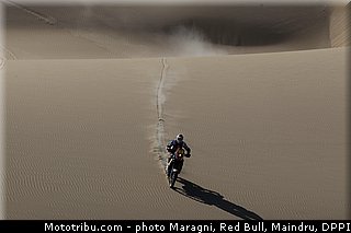 despres_0002_dakar_2013.jpg