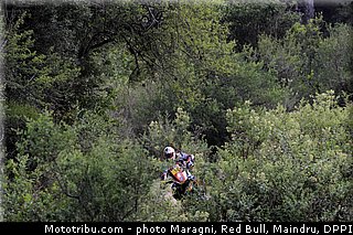 despres_0007_dakar_2013.jpg