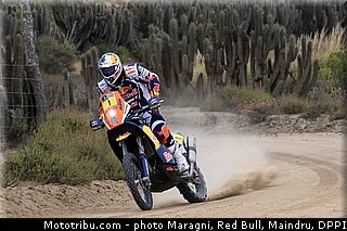 despres_0012_dakar_2013.jpg