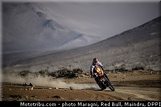 despres_0022_dakar_2013.jpg