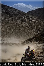 despres_0026_dakar_2013.jpg
