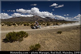 despres_0029_dakar_2013.jpg