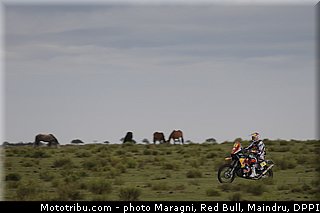 despres_0065_dakar_2013.jpg