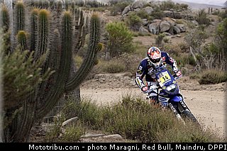 duclos_0026_dakar_2013.jpg