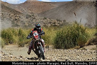 esquerre_0005_dakar_2013.jpg