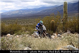 faggotter_0001_dakar_2013.jpg