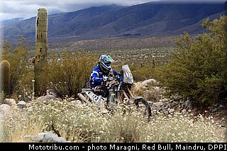 faggotter_0002_dakar_2013.jpg
