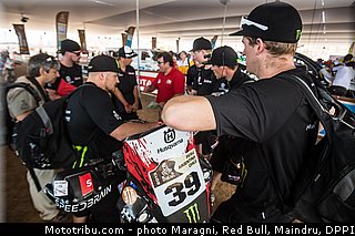 fish_0005_dakar_2013.jpg