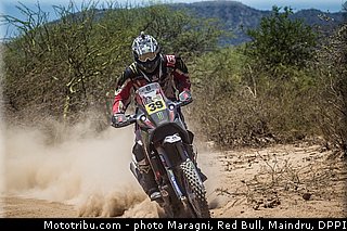 fish_0008_dakar_2013.jpg