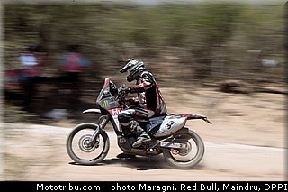 fish_0010_dakar_2013.jpg