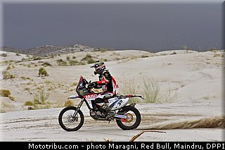 fish_0012_dakar_2013.jpg