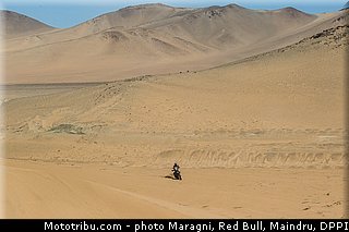 fish_0014_dakar_2013.jpg